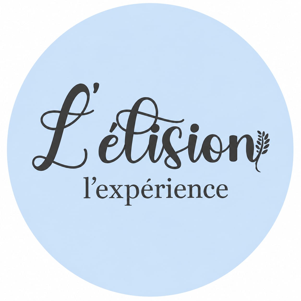 Logo L'élision l'expérience